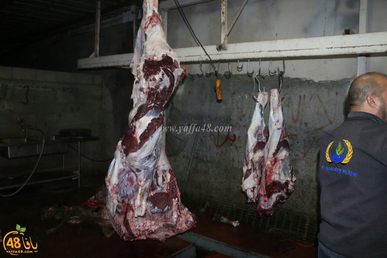 mashro3 ada7yau (4).jpg